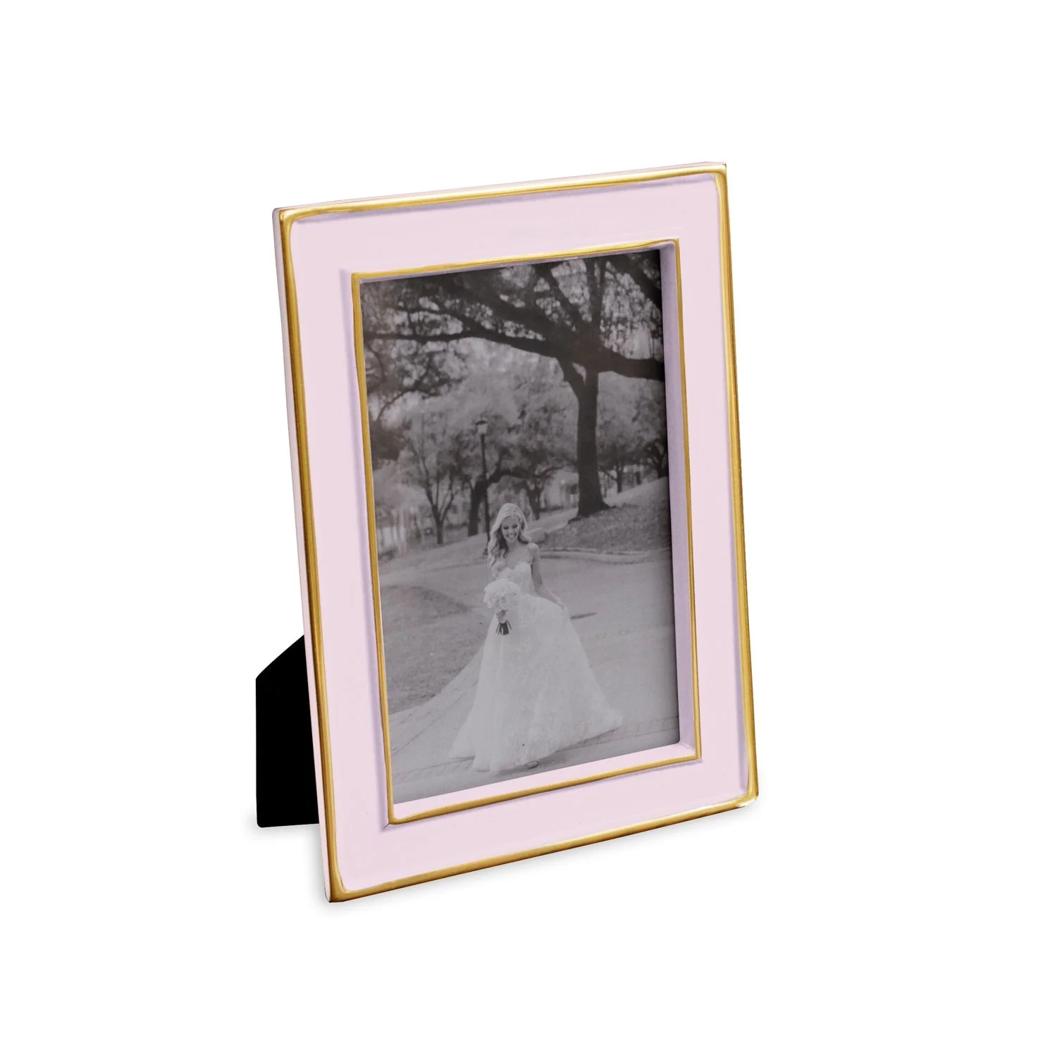 Beatriz Ball FRAME Encanto Jason 4 x 6 (Camellia) - Image 2