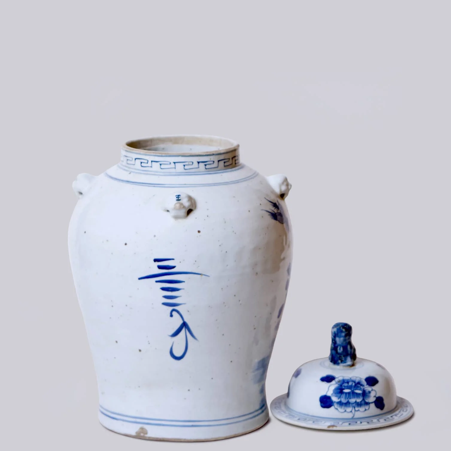 Bird and Flower Blue and White Porcelain Temple Jar - Image 4