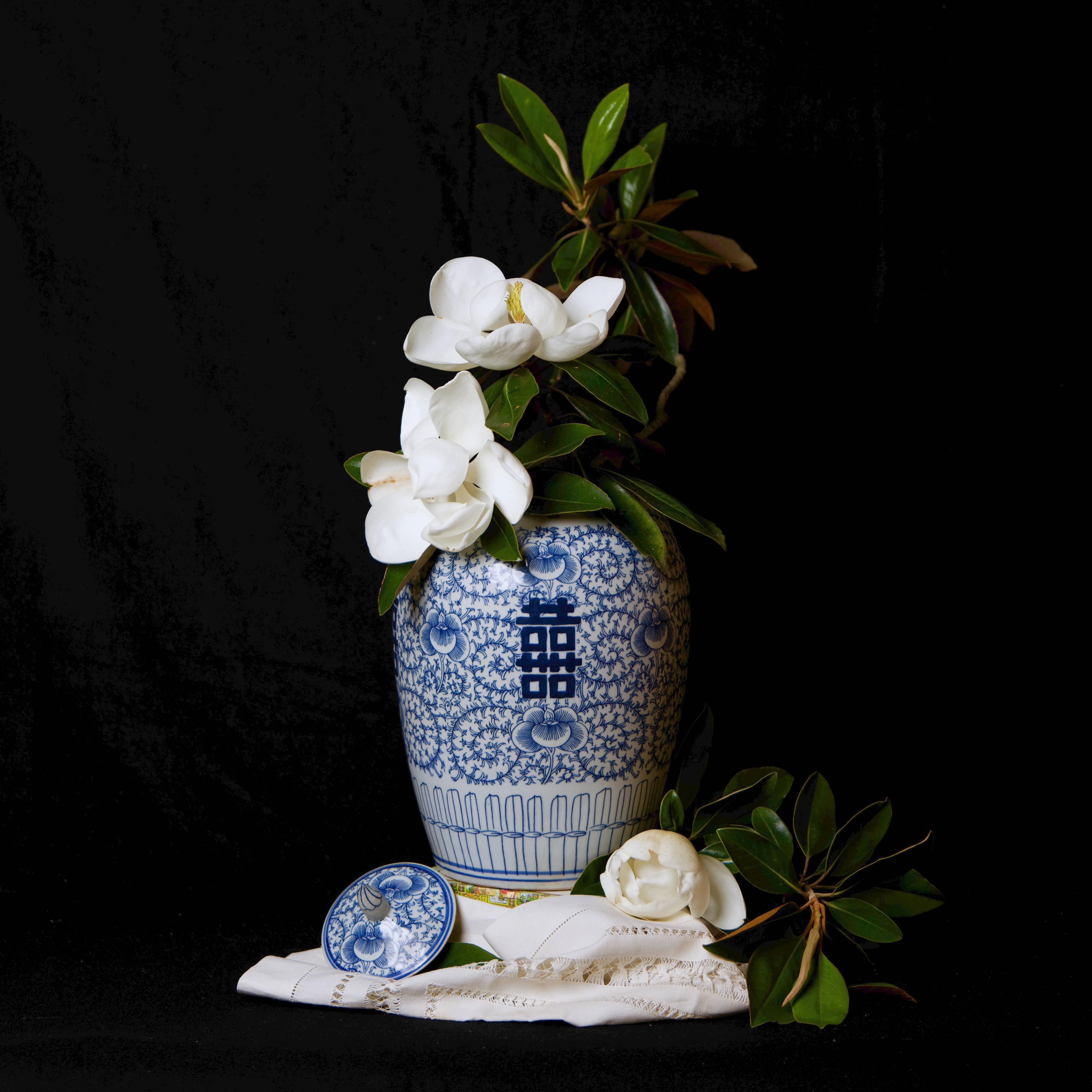 Double Happiness Blue and White Porcelain Jar - Image 6