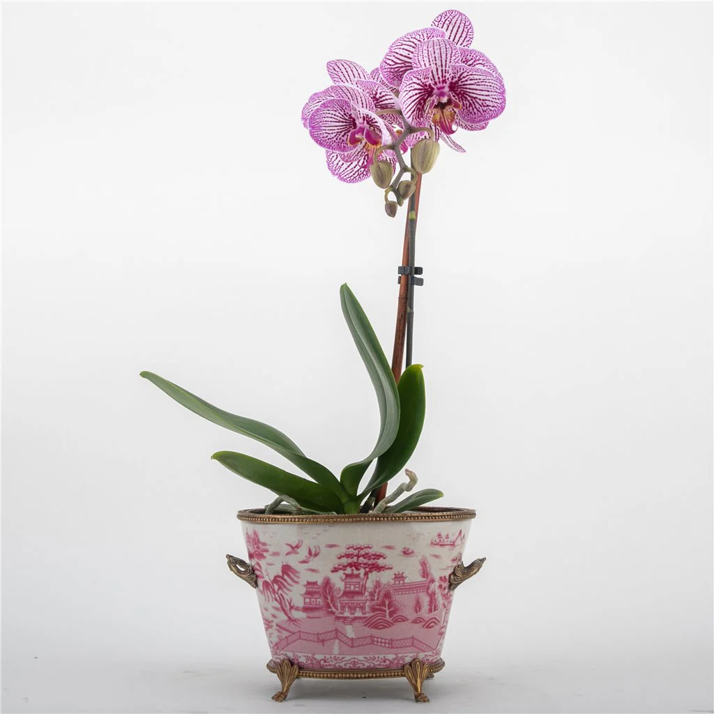 Danny's Fine Porcelain Basin With Bronze-Pink Willow 14270 - Image 7