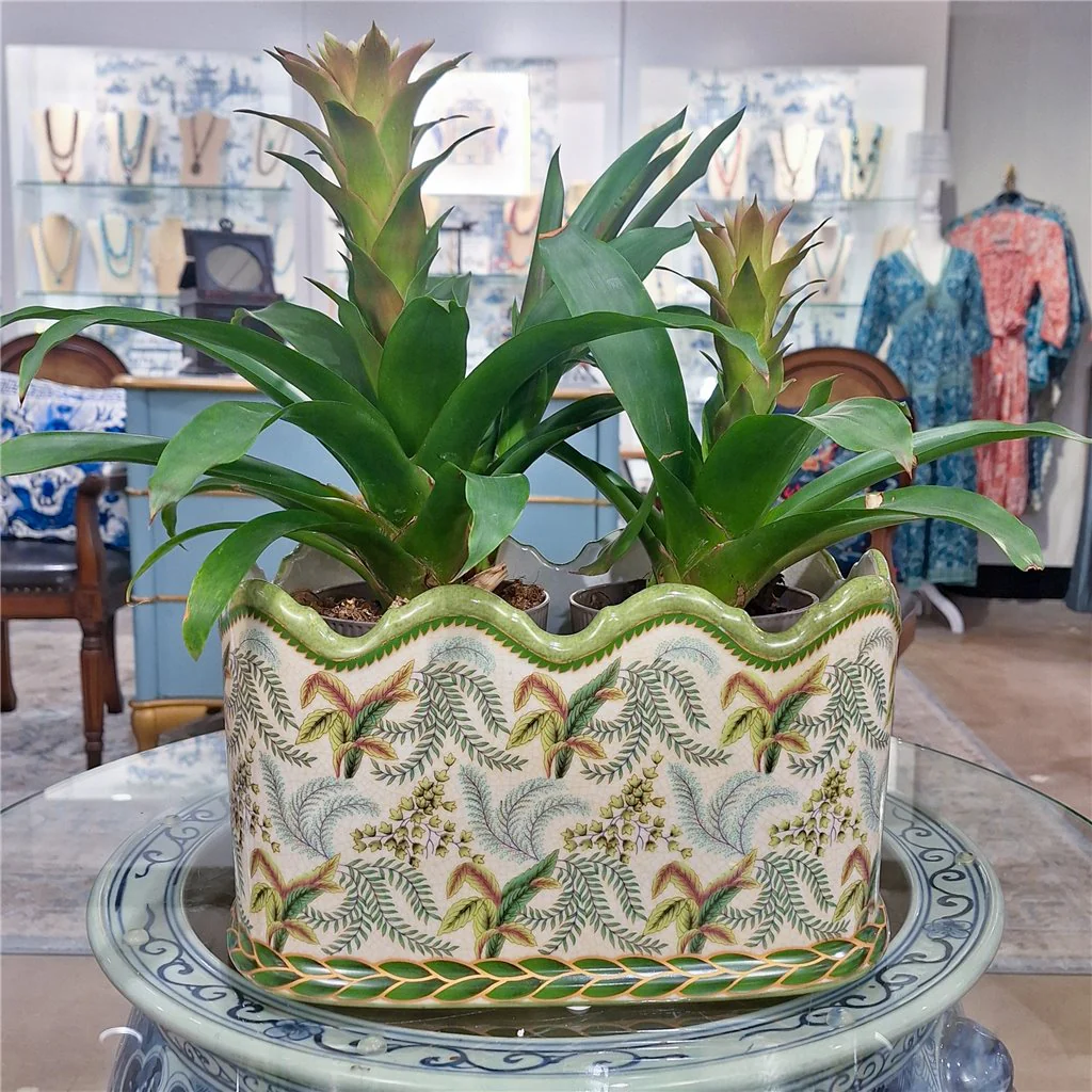 Danny's Fine Porcelain Planter - Fern 14149 - Image 5