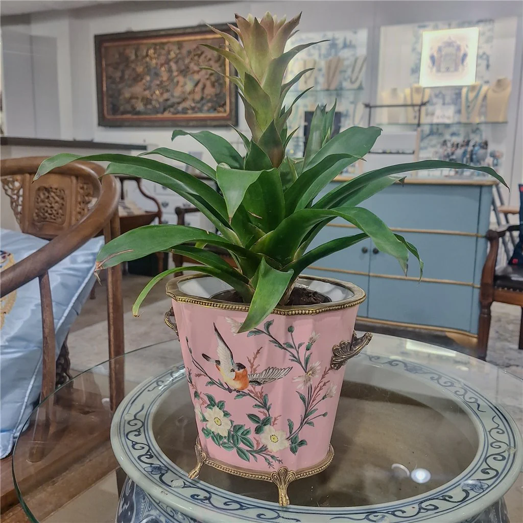 Danny's Fine Porcelain Planter - Pink Garden 60991 - Image 19