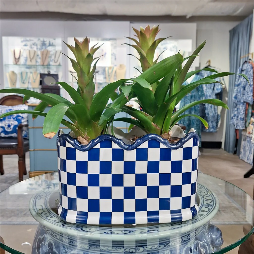 Danny's Fine Porcelain PORCELAIN PLANTER- BLUE AND WHITE CHECKER 14275 - Image 15