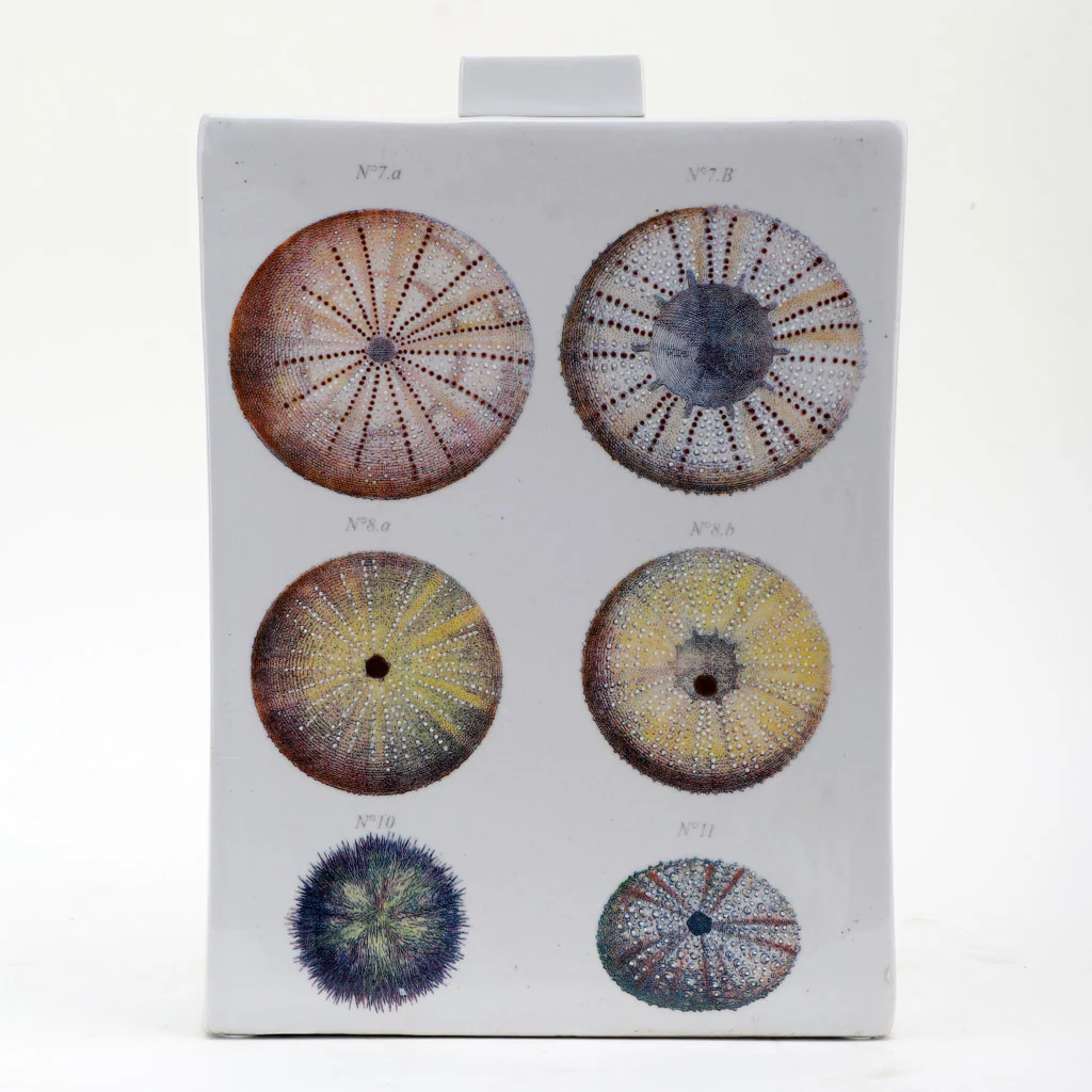 Danny's Fine Porcelain Porcelain Rectangular Jar - [Limited Edition] 60573 - Image 2