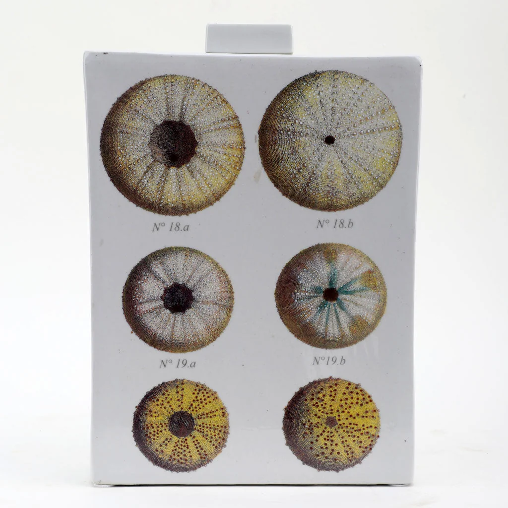 Danny's Fine Porcelain Porcelain Rectangular Jar - [Limited Edition] 60573 - Image 4