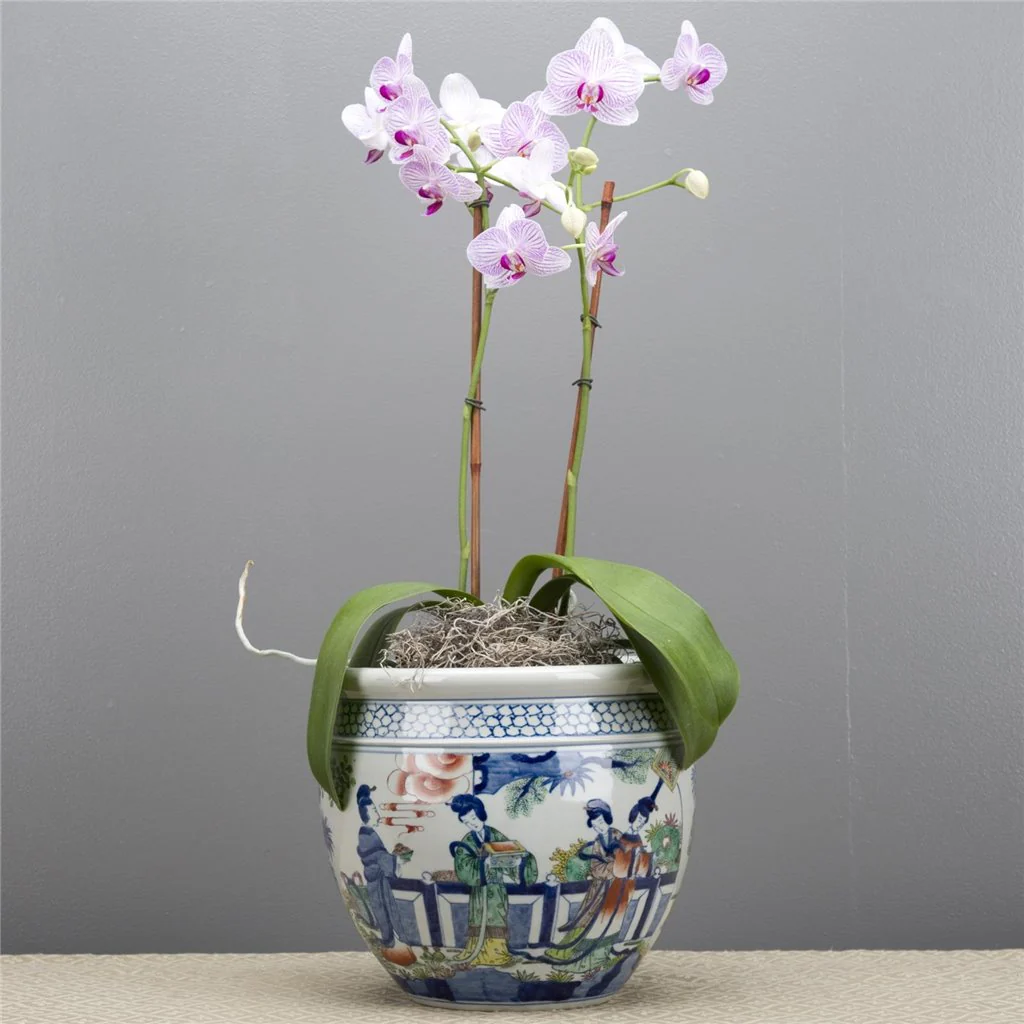 Danny's Fine Porcelain Pot 50582 - Image 12