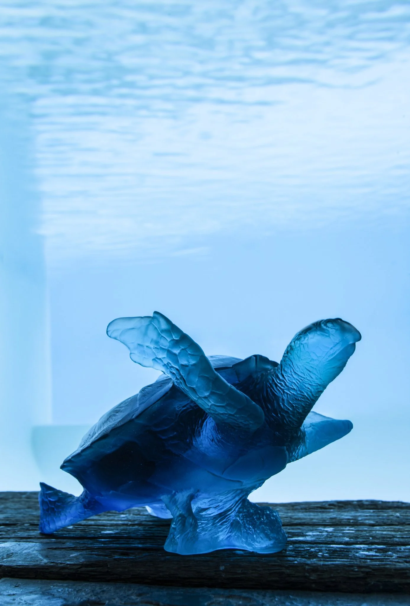 Daum Crystal Coral Sea Large Blue Sea Turtle - Image 2