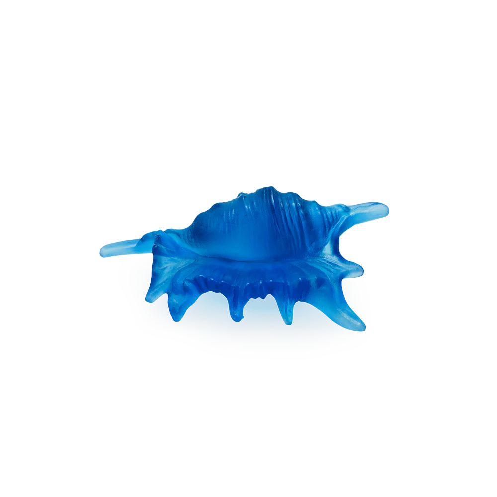 Daum Crystal Coral Sea Small Shell