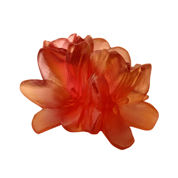 Daum Crystal Decorative Flower Safran