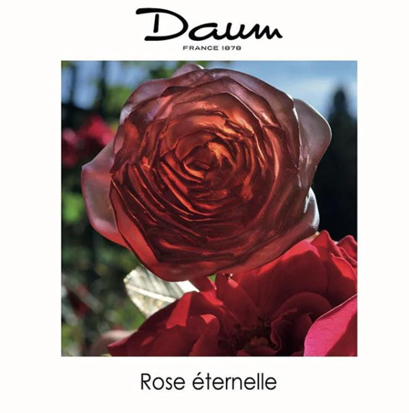 Daum Crystal Red Eternal Rose - Image 3