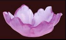 Daum Crystal Tulip Small Bowl - Ultraviolet - Image 3