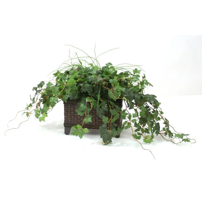 Grass and Grape Ivy in Dark Stained Rectangle Floor Planter