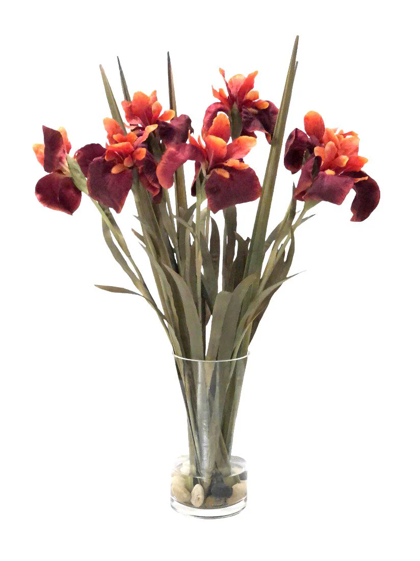Rust Iris in Cylinder