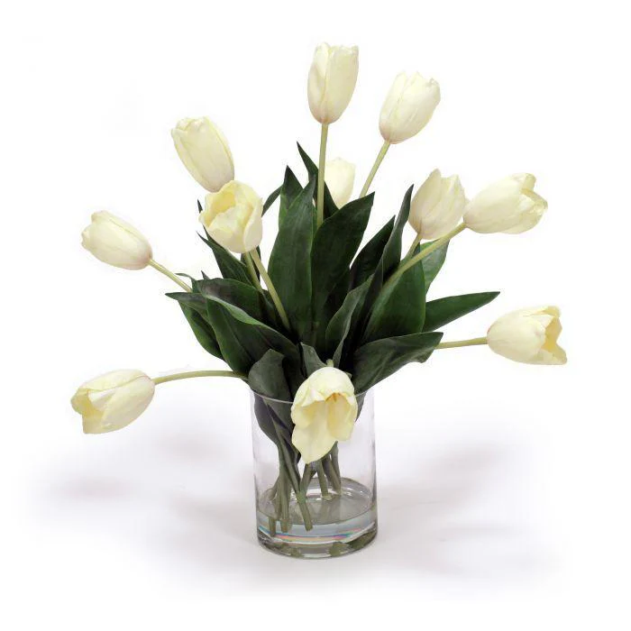 Waterlook® Cream White Tulips in Vase
