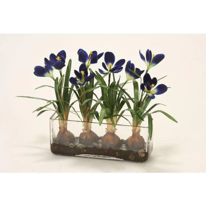 Waterlook® Crocus in Glass with Bark