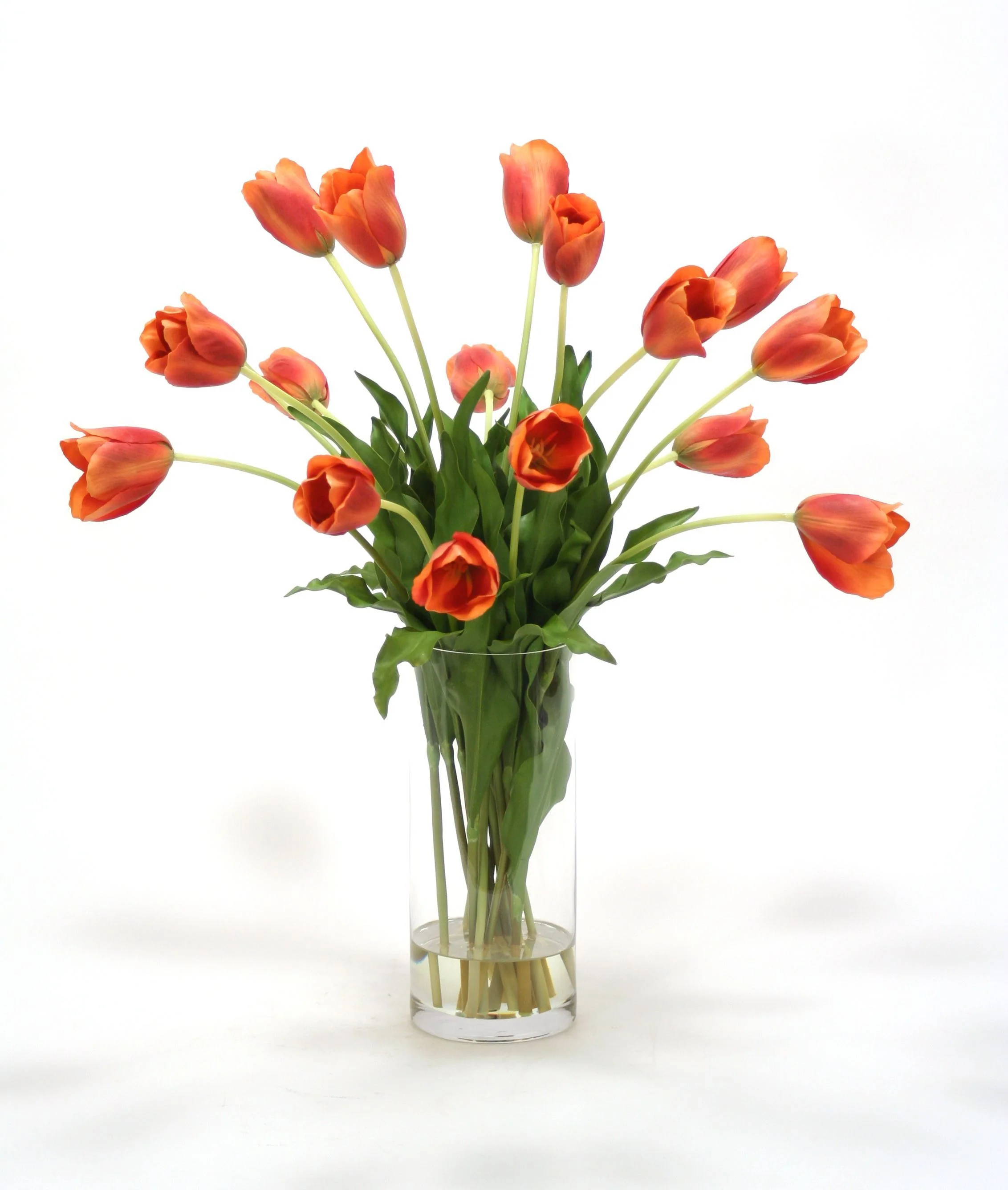 Waterlook® Dark Orange Red Tulips in Cylinder Vase