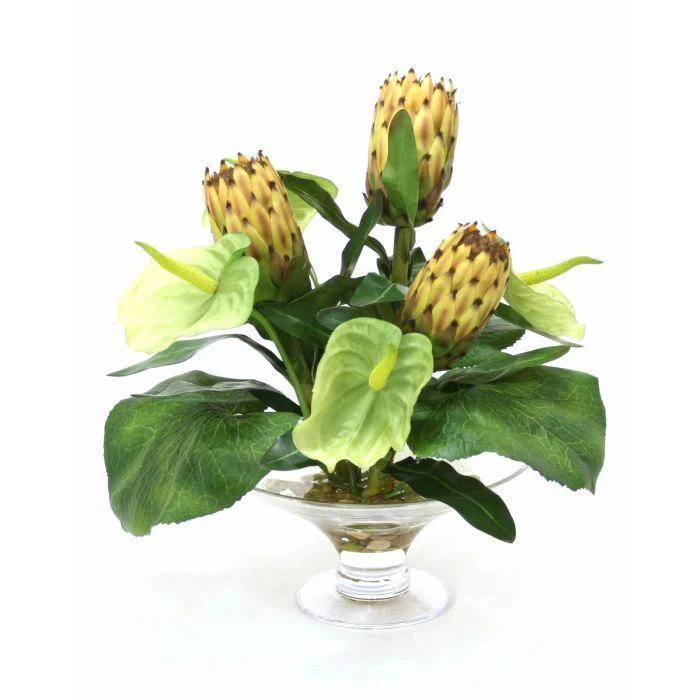 Waterlook® Green Anthuriums, Proteas and Leaves in Glass Compote