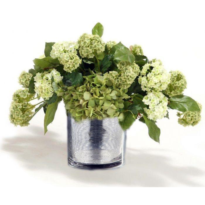 Waterlook® Mixed Cream Green Hydrangeas and Basil in Silver Ringed Glass Vase