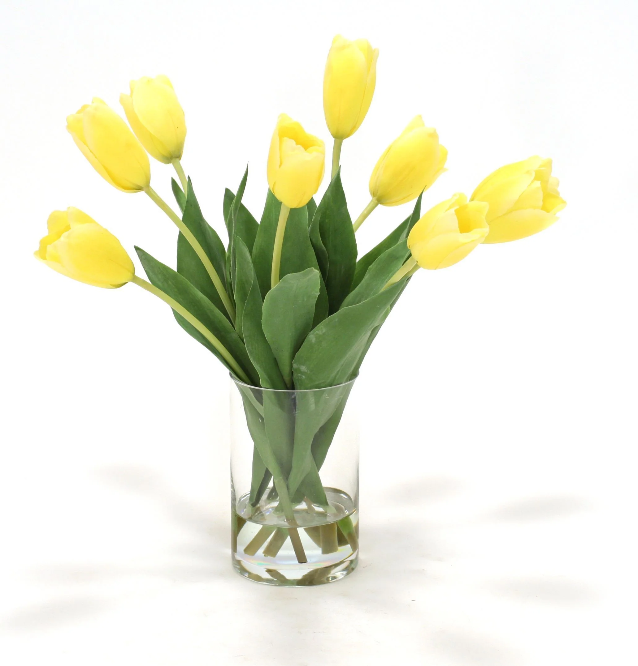 Waterlook® Yellow Dutch Tulips in Clear Glass Cylinder