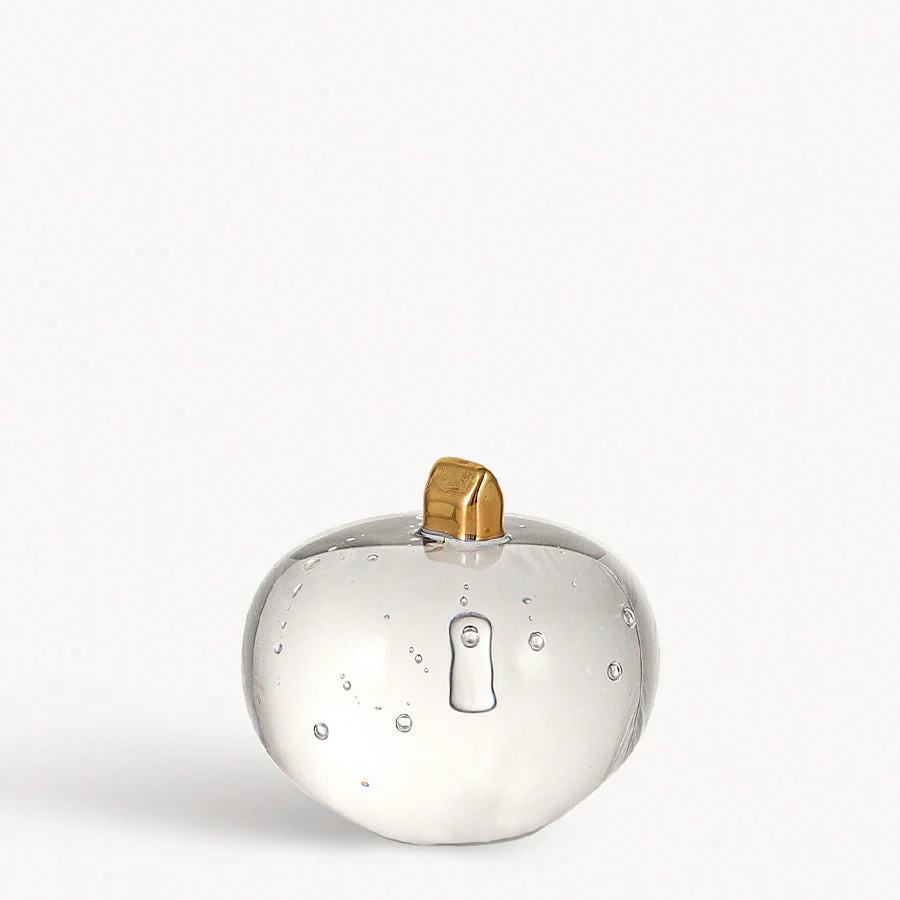 Kosta Boda Earth Stellar Small