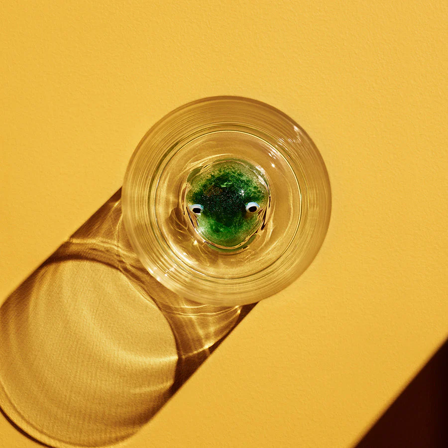 Kosta Boda New Friends Tumbler Frog - Image 3