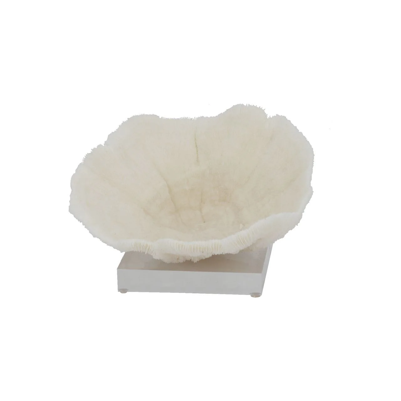 Legend of Asia Bowl Coral 9-10 Inch On Acrylic Base