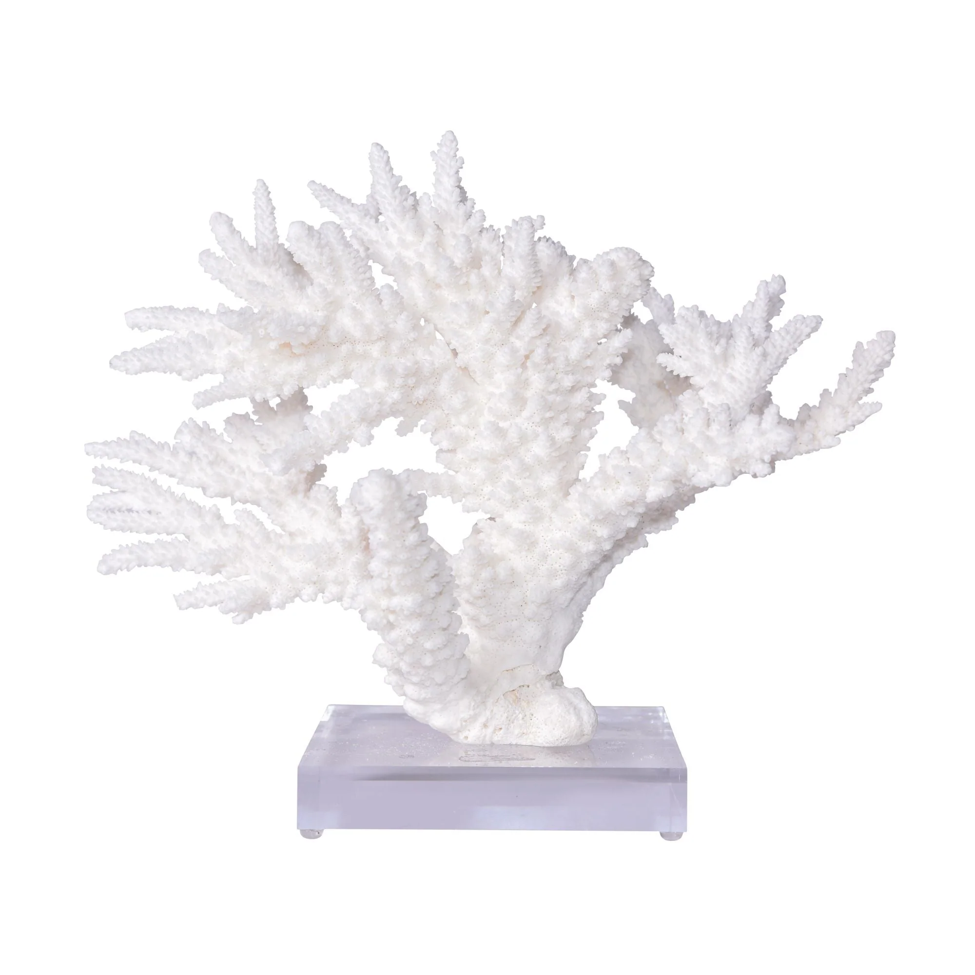Legend of Asia Branch Coral 12-15 Inch On Acrylic Base