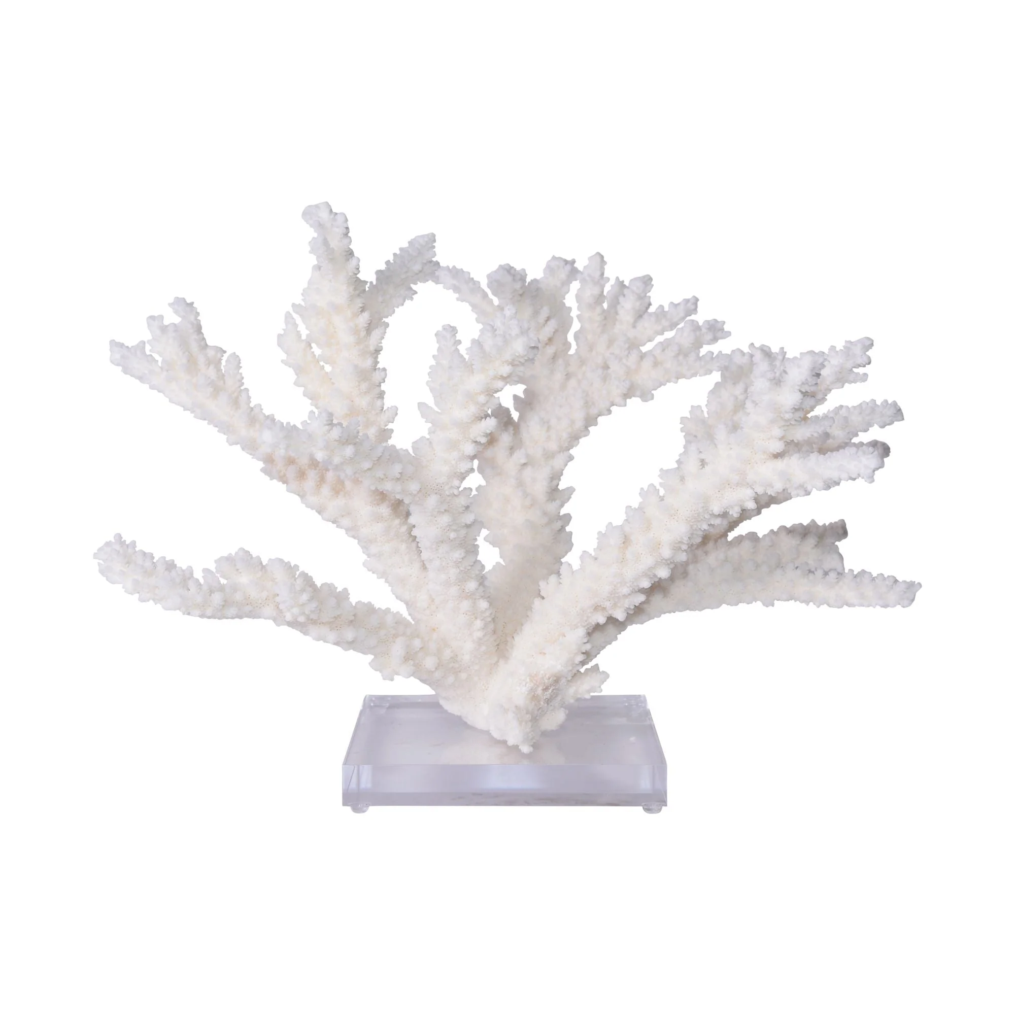 Legend of Asia Branch Coral 15-16 Inch On Acrylic Base