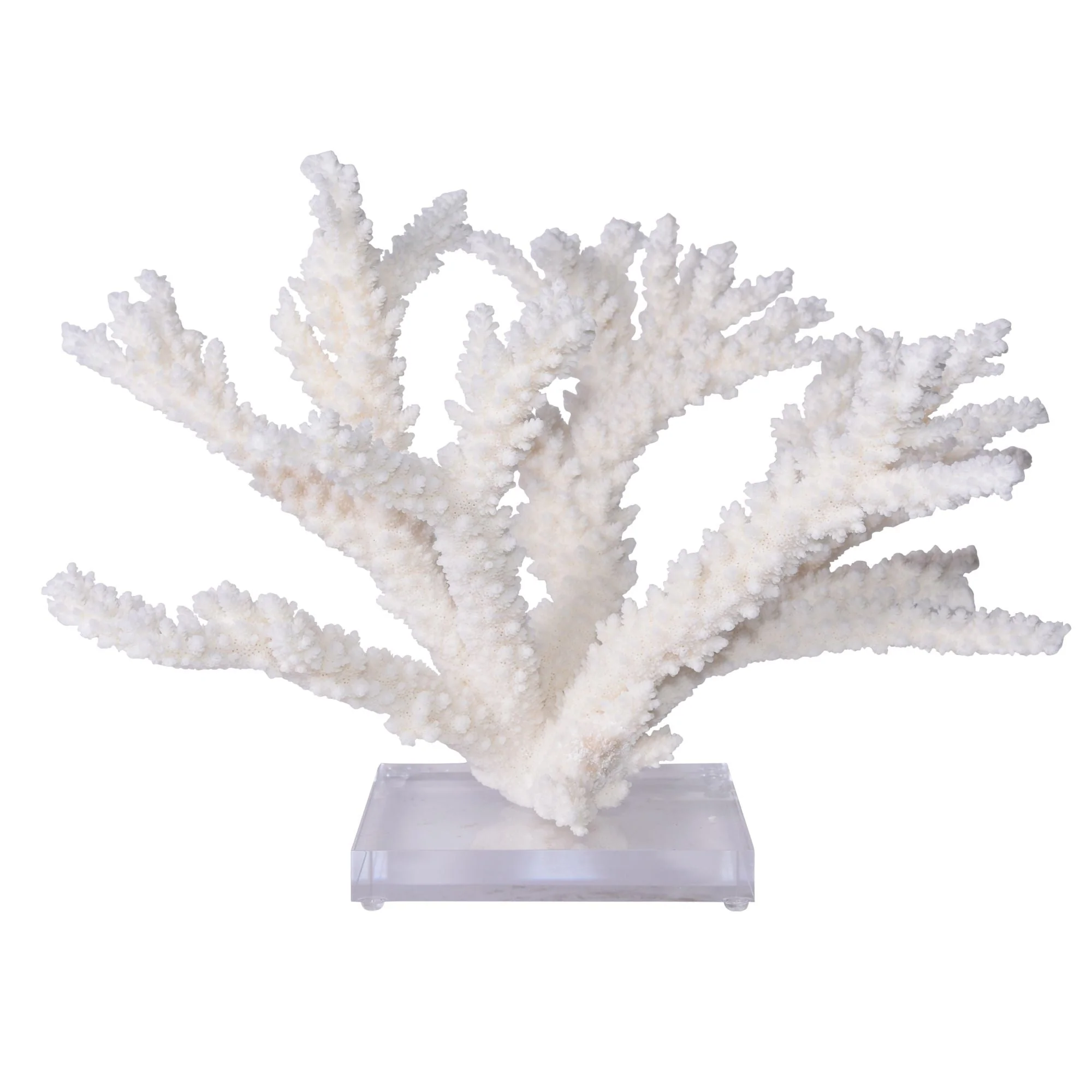 Legend of Asia Branch Coral 20 inch On Acrylic Base