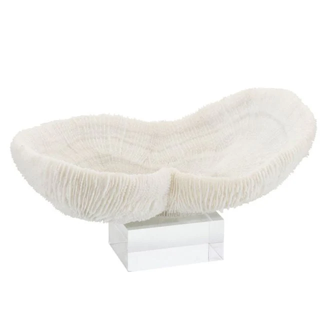 Legend of Asia Feather Peanut Coral 10-12 On Acrylic Base