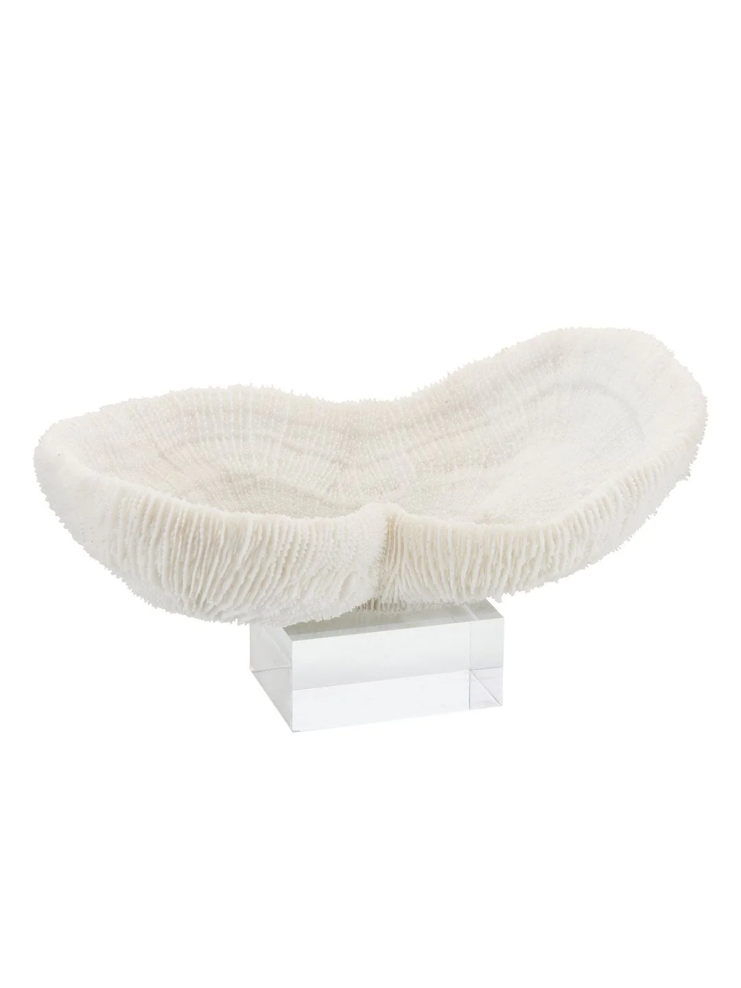 Legend of Asia Feather Peanut Oval Coral 8-9 On Acrylic Base