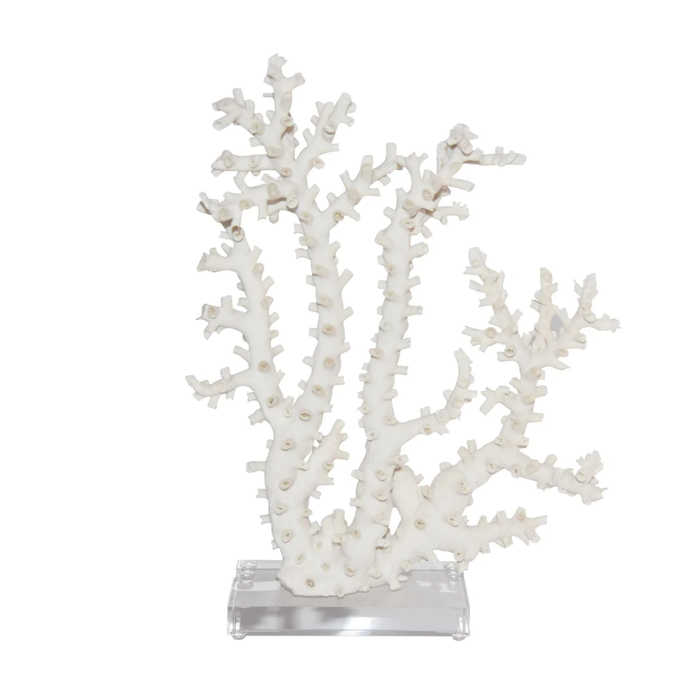 Legend of Asia Octopus Coral 12-15 Inch