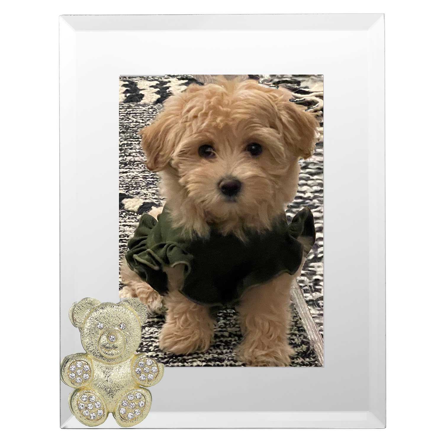 Olivia Riegel Gold Teddy Bear 5" x 7" Frame