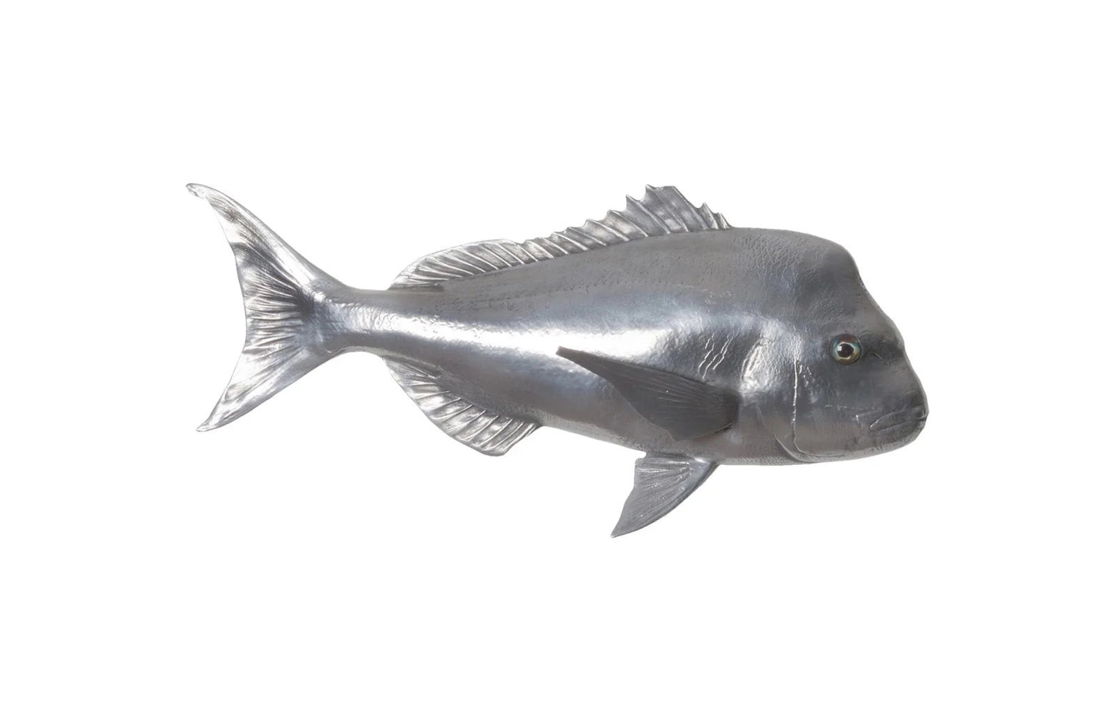 Phillips Collection Australian Snapper Fish Wall Sculpture, Resin, Polished Aluminum Finish