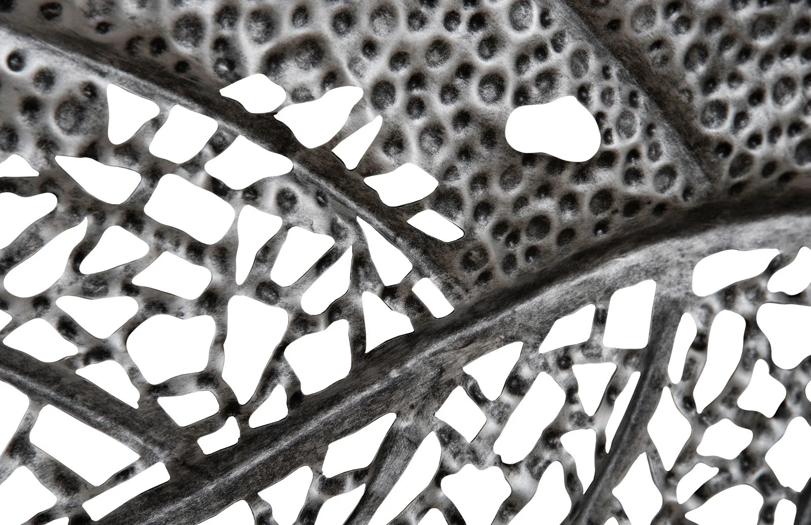 Phillips Collection Birch Leaf Wall Art, Silver, MD - Image 4