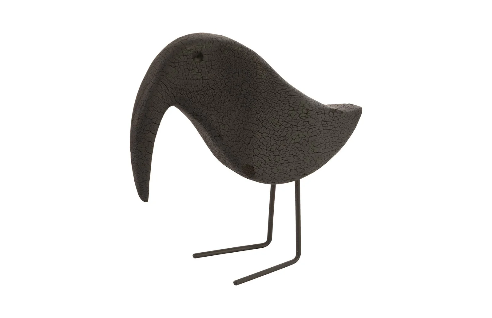 Phillips Collection Black Bird