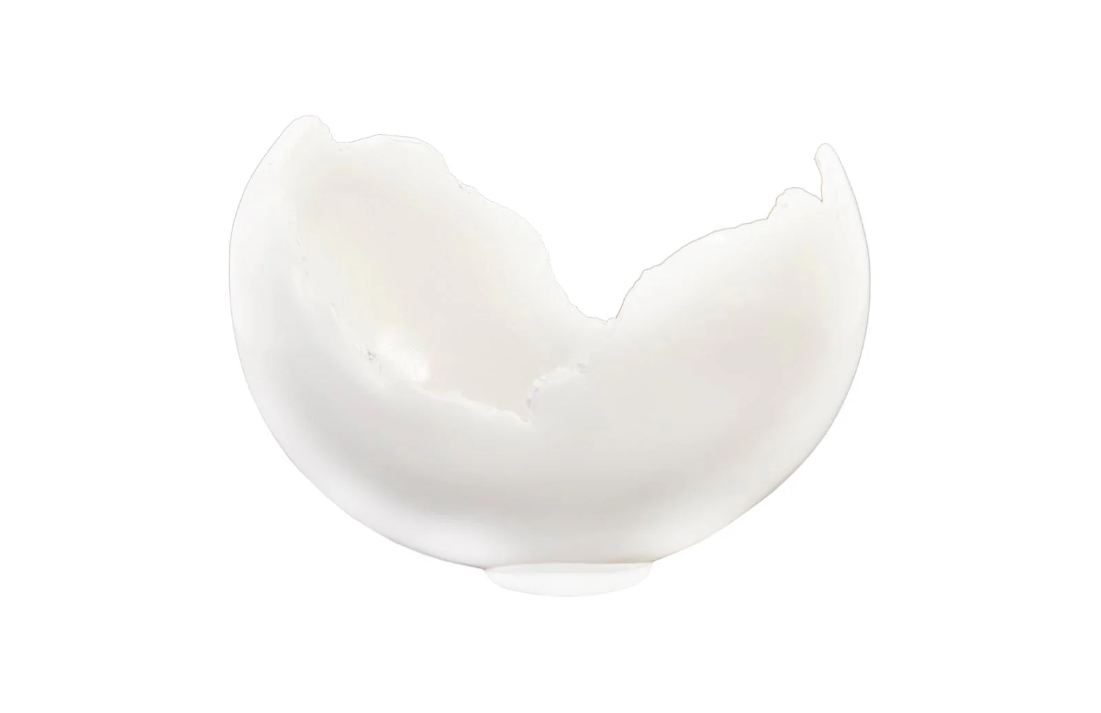 Phillips Collection Burled Bowl, Glossy White - Image 5