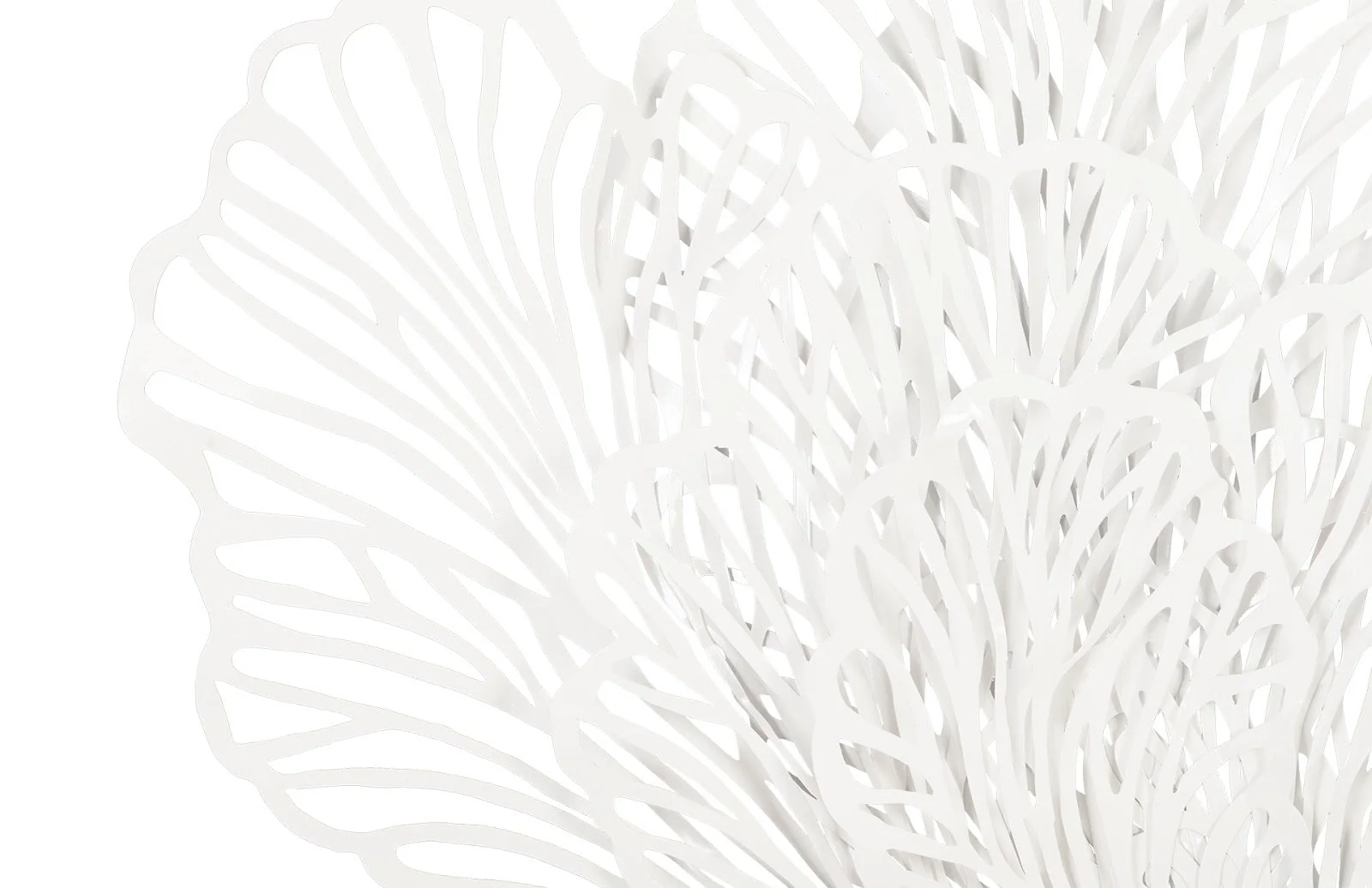 Phillips Collection Butterfly Wall Art, White, LG - Image 5
