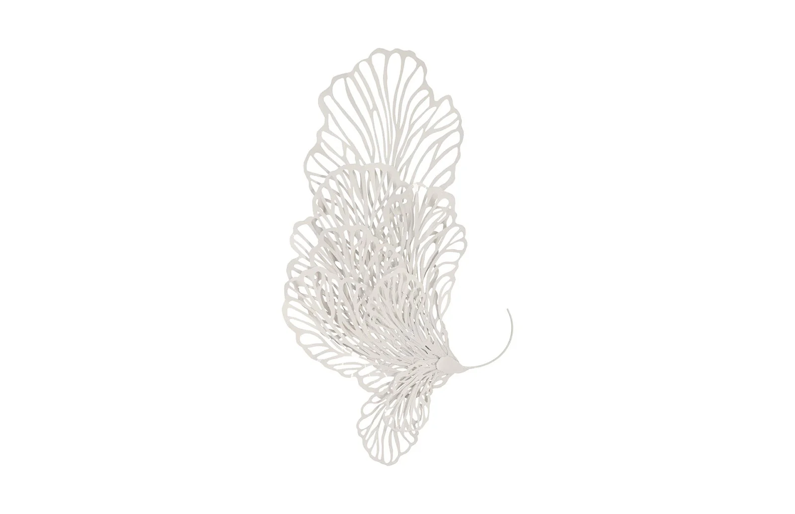 Phillips Collection Butterfly Wall Art, White, MD