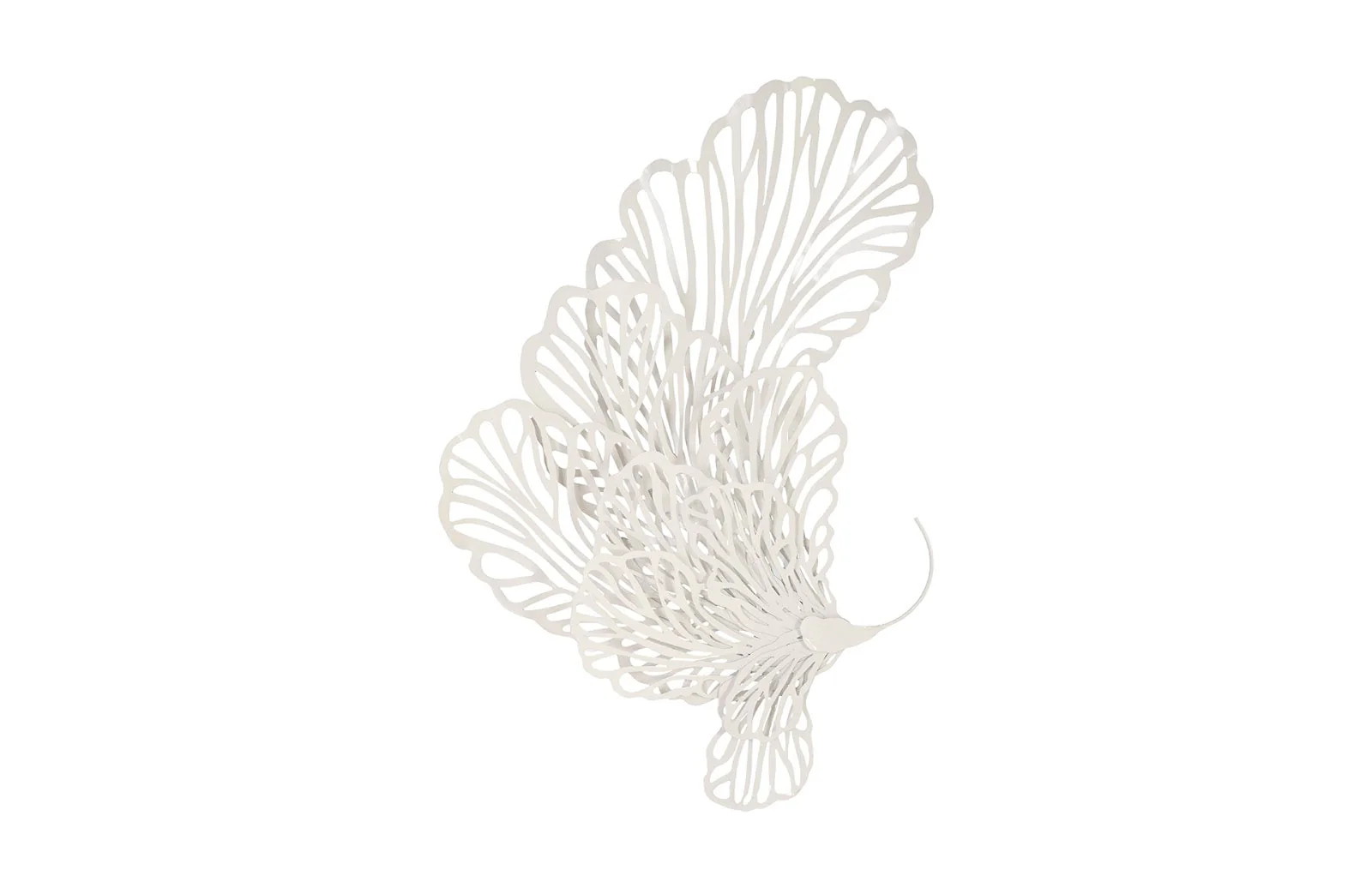 Phillips Collection Butterfly Wall Art, White, SM