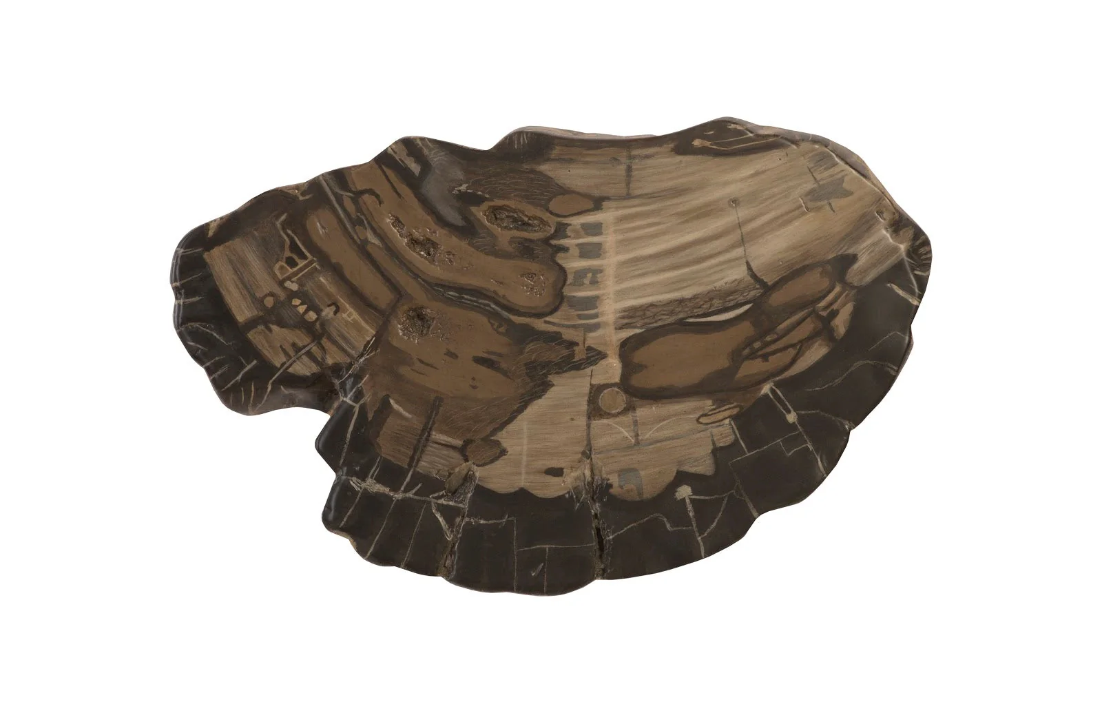 Phillips Collection Cast Petrified Wood Wall Tile, Resin