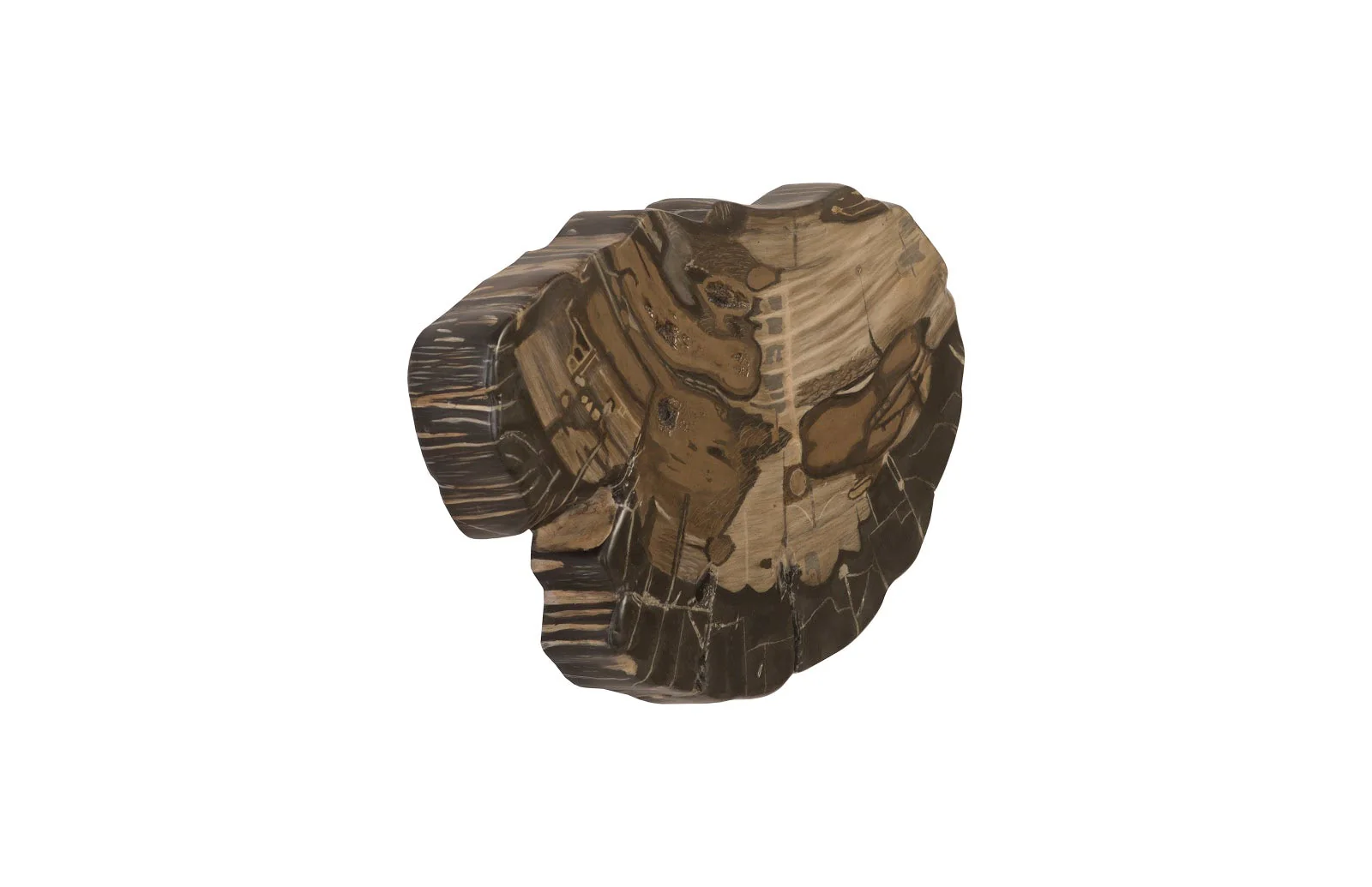 Phillips Collection Cast Petrified Wood Wall Tile, Resin - Image 2