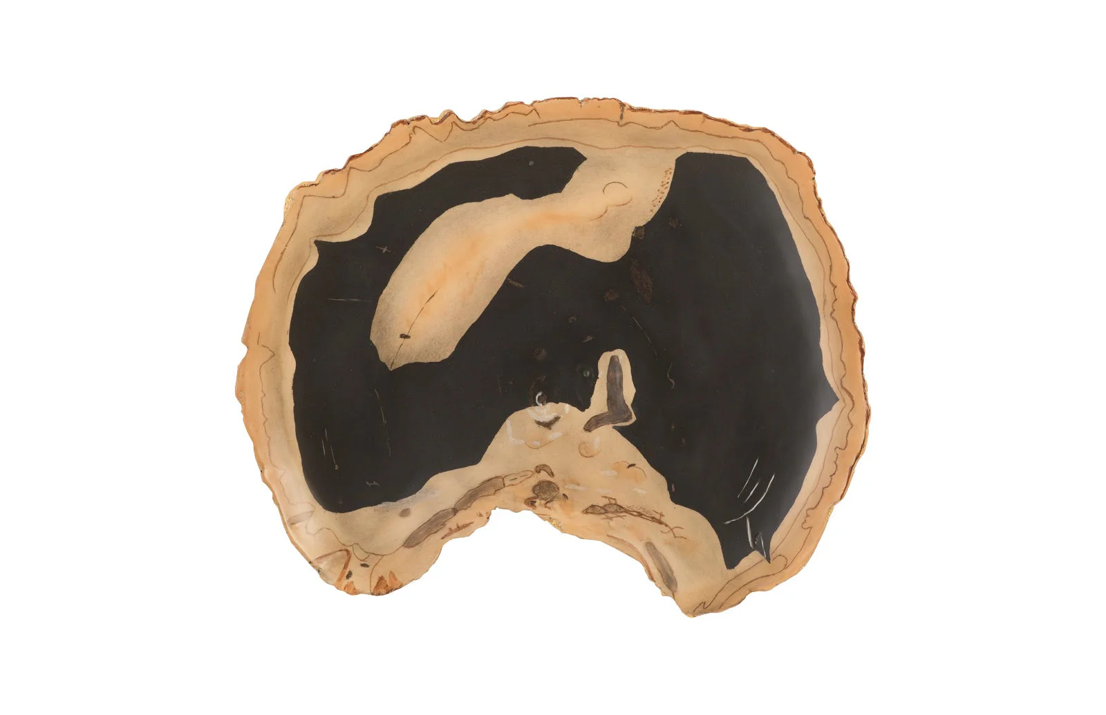 Phillips Collection Cast Petrified Wood Wall Tile, Resin, Thin