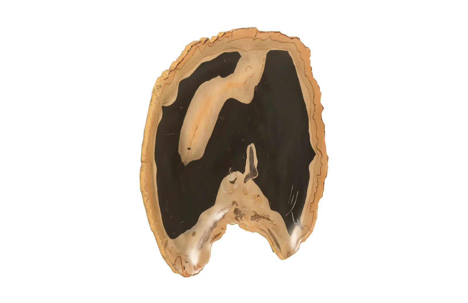 Phillips Collection Cast Petrified Wood Wall Tile, Resin, Thin - Image 3