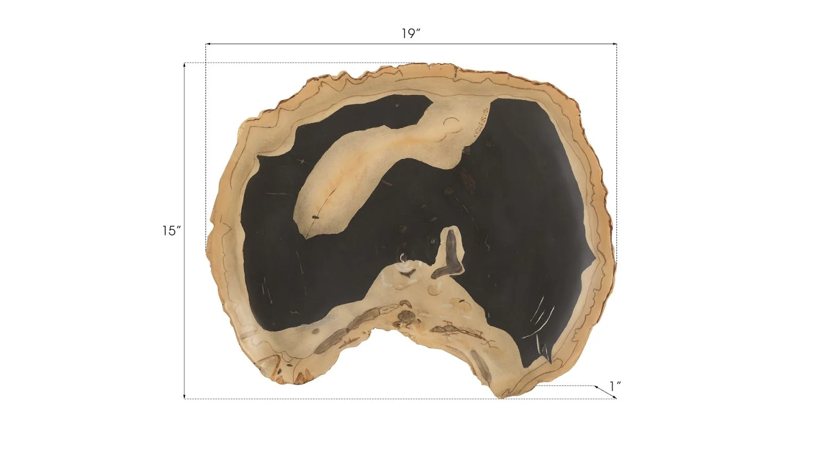 Phillips Collection Cast Petrified Wood Wall Tile, Resin, Thin - Image 6