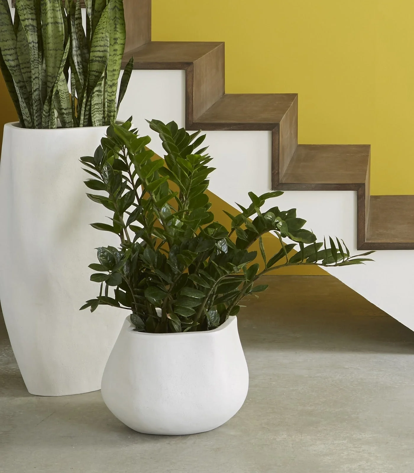 Phillips Collection Claire Planter, Small, White - Image 4