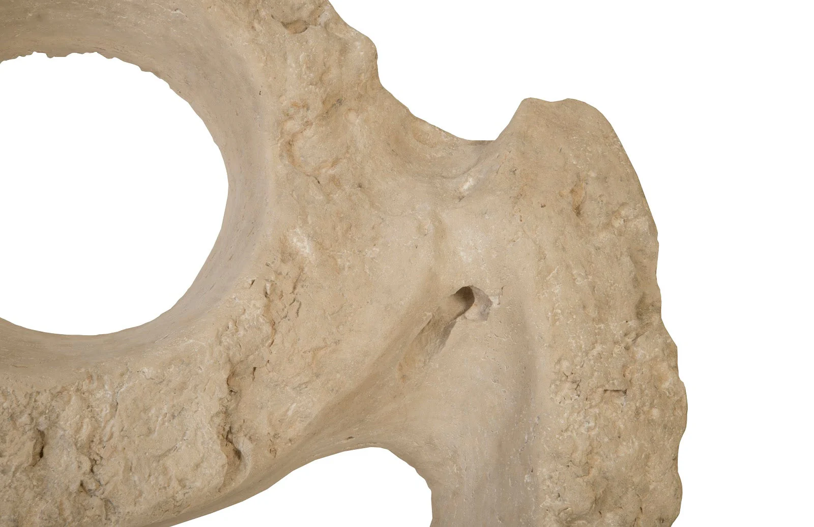 Phillips Collection Colossal Cast Stone Sculpture, Double Hole, Roman Stone - Image 6
