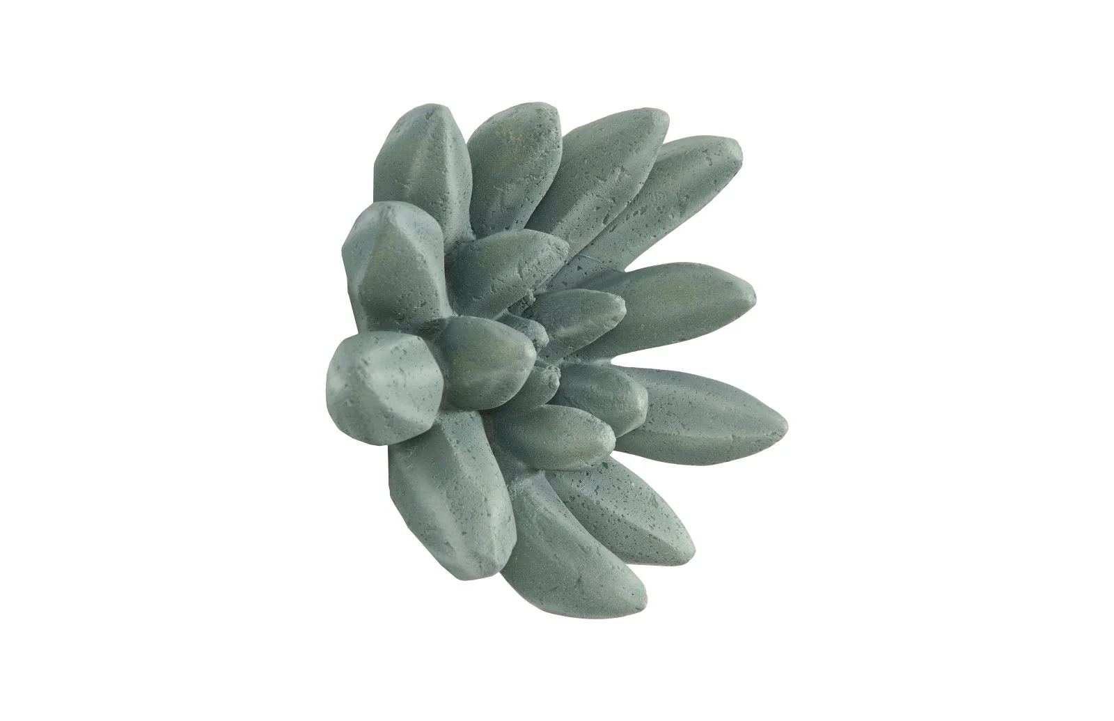Phillips Collection Compactum Succulent Wall Art, Forest - Image 2