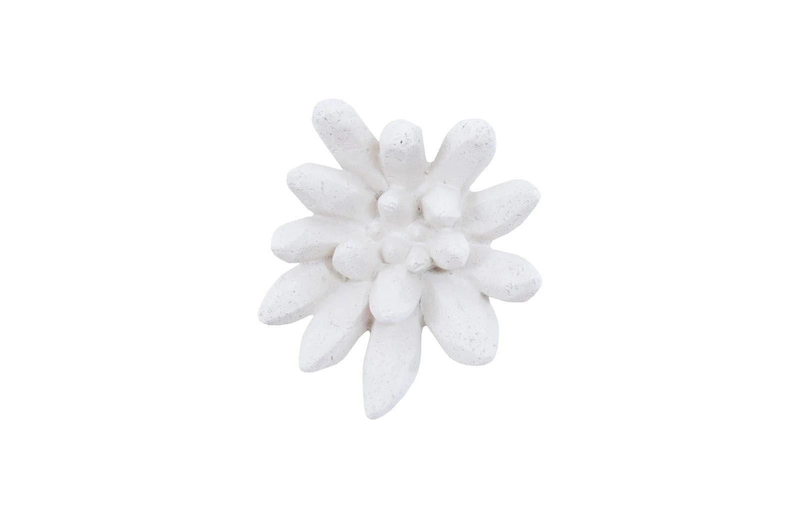 Phillips Collection Compactum Succulent Wall Art, White Stone