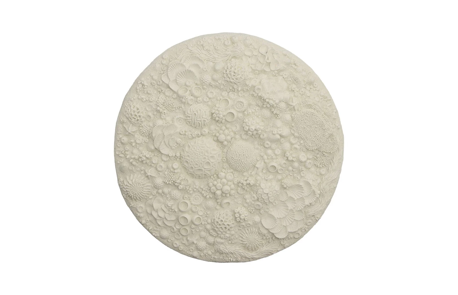 Phillips Collection Coral Reef Wall Art, Round